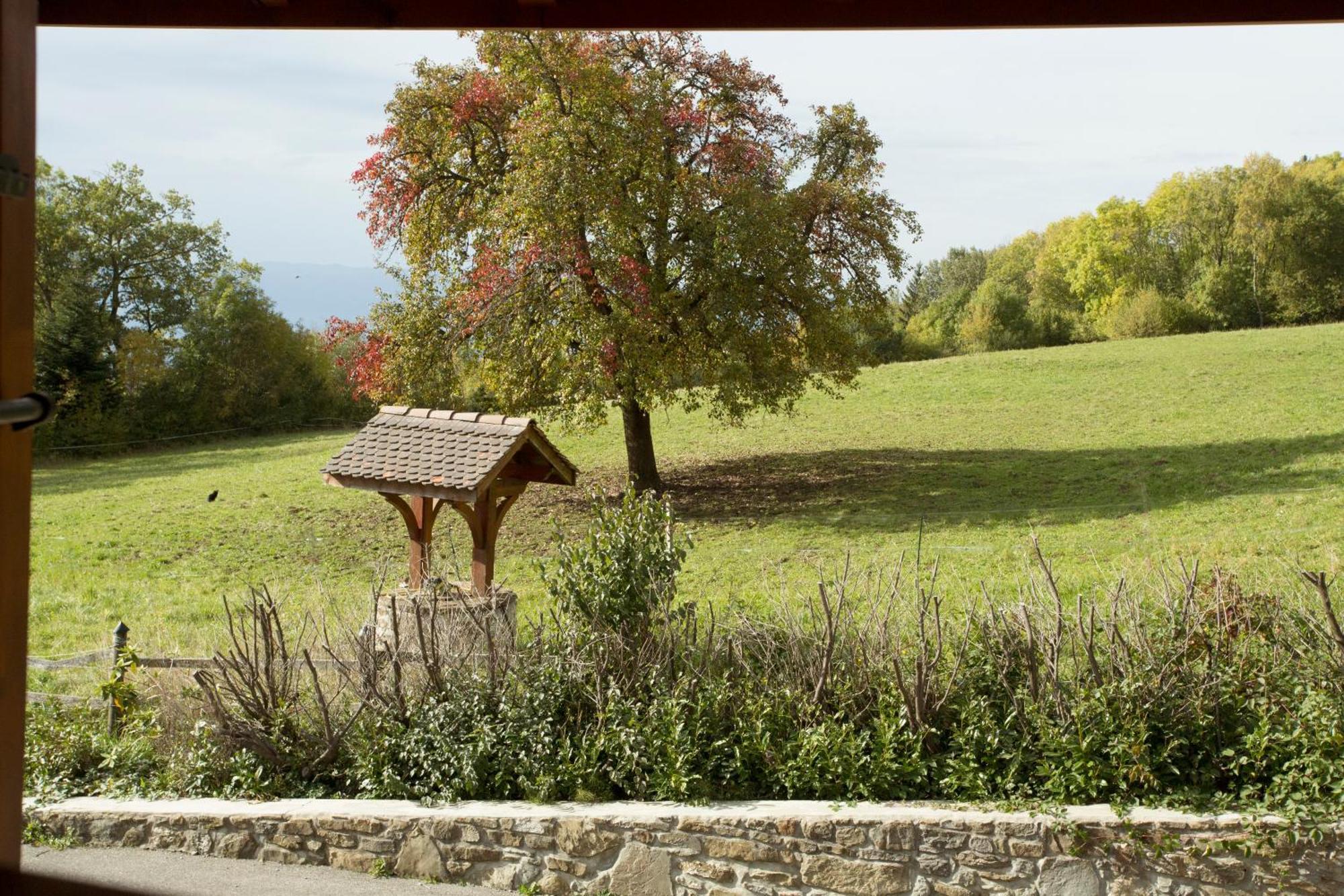 Le Bonheur Dans Le Pre Lucinges Exterior foto